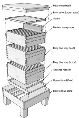 The Cost of Setting up Bees