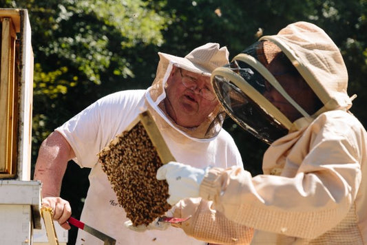Veterans use beekeeping to improve well being